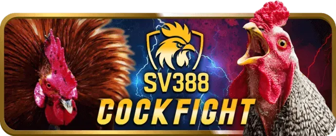 Quy trình cá cược thể thao tại vin99